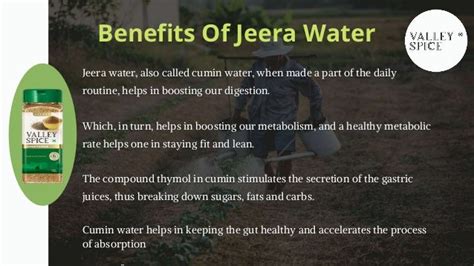 Benefits Of Jeera Cumin Seeds | Cumin Water Benefits | Benefits Of Jeera Water For Weight Loss ...