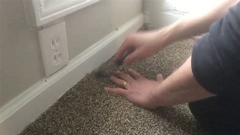 How to trim carpet to fit a room carpettoolz.com - YouTube