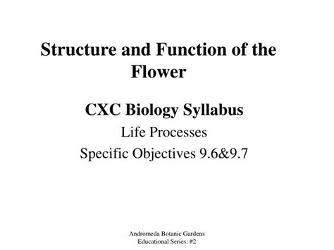 PPT - Structure and Function of the Flower PowerPoint Presentation ...