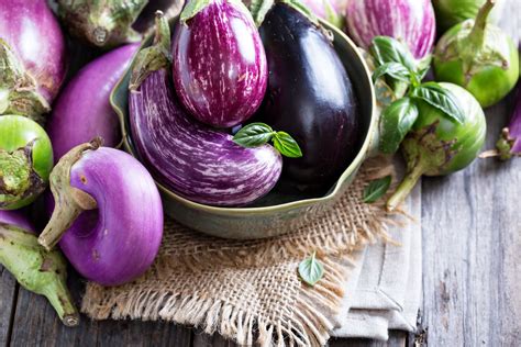 Aubergine varieties: different types of eggplant - Plantura