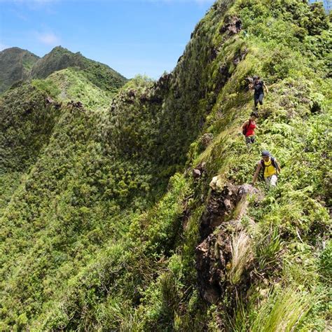 Mt. Olympus to Manoa Middle: Hiking Above Manoa Valley | Hawaii ...