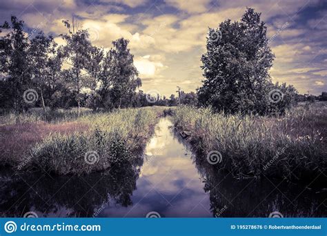 Ditch at the Amsterdamse Bos at Amstelveen the Netherlands 28-7-2020 Stock Photo - Image of ...