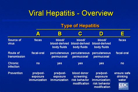 Everything About Hepatitis - Keeplol