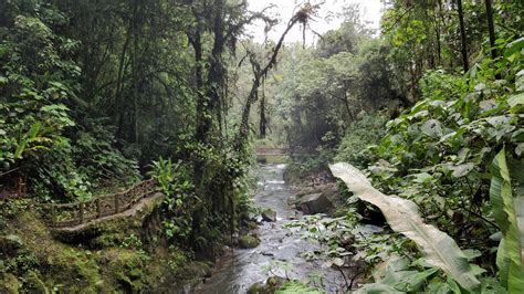 La Paz Waterfall Gardens Nature Park : Costa Rica | Visions of Travel