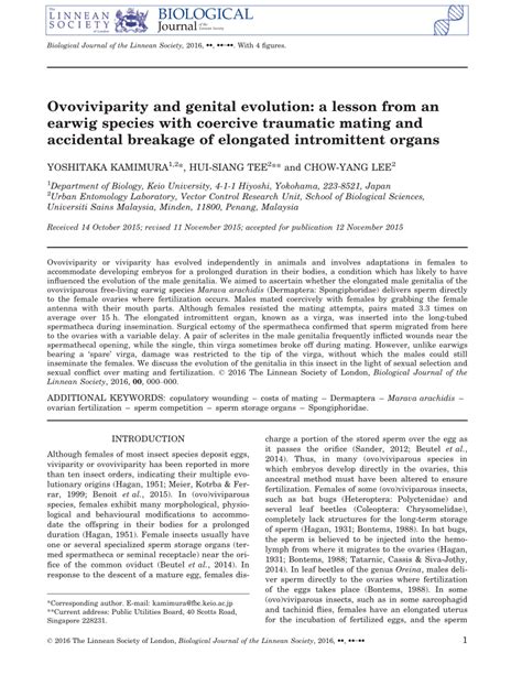 (PDF) Ovoviviparity and genital evolution: A lesson from an earwig species with coercive ...