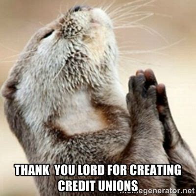 Credit unions will save you money! | Good day sir, Funny animals, Funny animal pictures