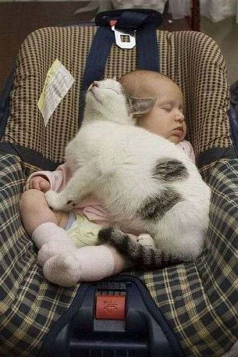 Babies and Cats Being Too Cute (25 pics) - Izismile.com