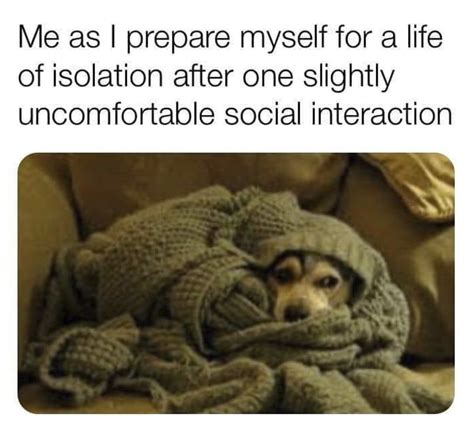 Feeling Alone And Isolated? These Hilarious Memes Are For You - A Total Trainwreck | Memes