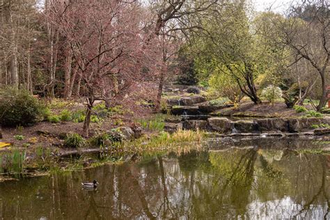 st andrews botanic garden | Kristopher Black | Flickr