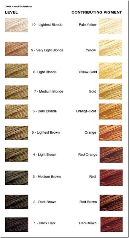 Level chart hair color 448084-Level 6 hair color chart loreal - Saesipjosuljc