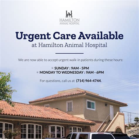 Vets in Huntington Beach CA | Hamilton Animal Hospital