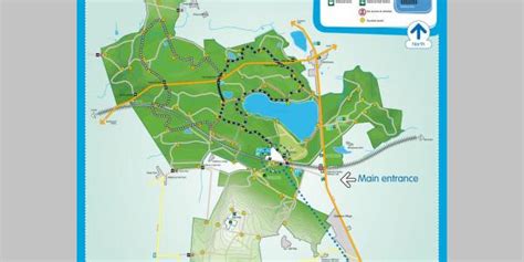 Delamere Forest - Whitemoor route (White markers) • Mountain Biking ...