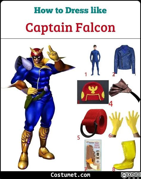 Captain Faclon (F-Zero) Costume for Cosplay & Halloween