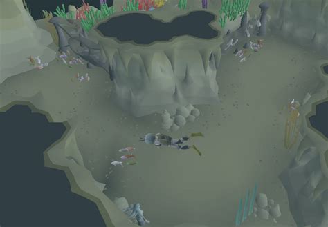 Drift net fishing - OSRS Wiki