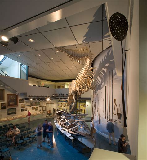 Nantucket Historical Association: Whaling Museum — ObjectIDEA