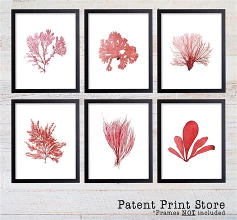 Red Sea Coral Print Set, Coral Art Set, Giclee Art Print, Beach House ...