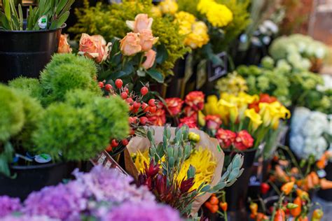 Portland Flower Delivery, Fresh Flowers at Zupan’s Markets