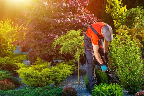 Workers' Comp Benefits for Landscaping Injuries – Iowa