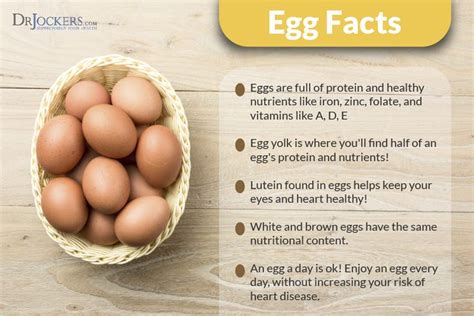 10 Key Health Benefits of Eggs | Health benefits of eggs, Nutrition ...