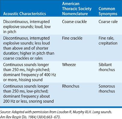 5 What is the significance of the fine and coarse crackles Crackles are | Course Hero