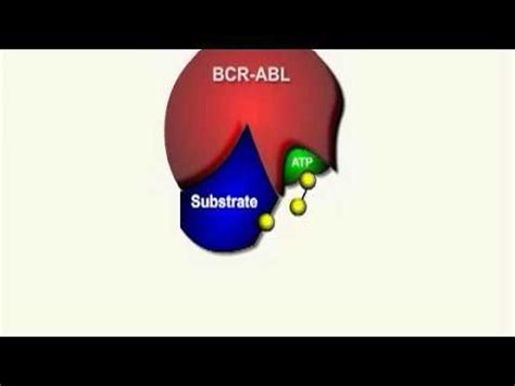 Gleevec: Mechanism of Action - YouTube