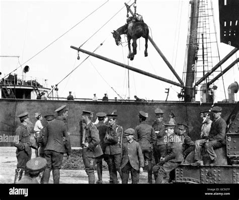 World War One - HORSES UNLOADED AT BOULOGNE Stock Photo - Alamy