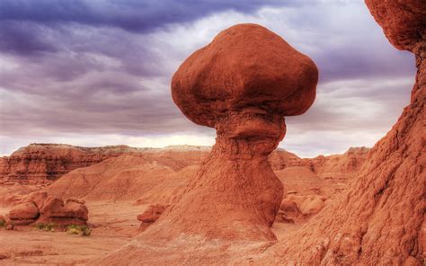 Mushroom Stone In The Desert - [2560 x 1600]