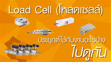 Load Cell ประยุกต์ใช้กับงานอะไรบ้าง ไปดูกัน - Factomart Industrial Products Marketplace