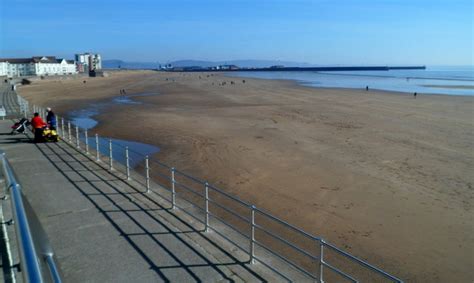 What Beaches Can Dogs Go On In Swansea