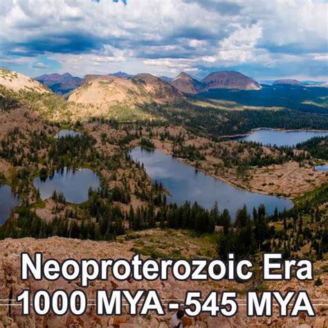 The Neoproterozoic Era