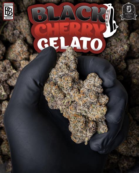 Black Cherry Gelato Strain - California Green House