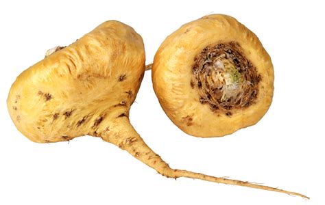 Maca Root - Maca root Clincally Proven Benefits & Use - Maca Dangers