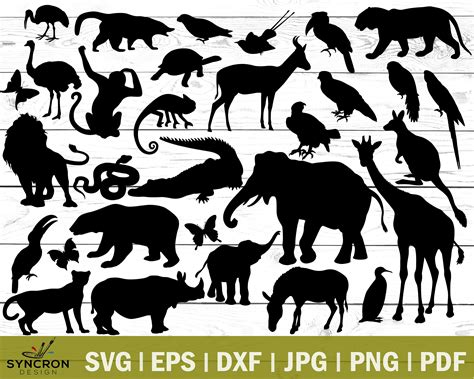 Zoo Animals Svg Bundle Zoo Animals Clipart Zoo Svg Animals Svg Cut ...