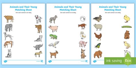 Animals and Their Babies Worksheet for Kids | Twinkl USA