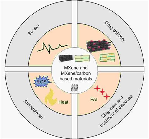 Recent developments in MXene and MXene/carbon composites for use in biomedical applications