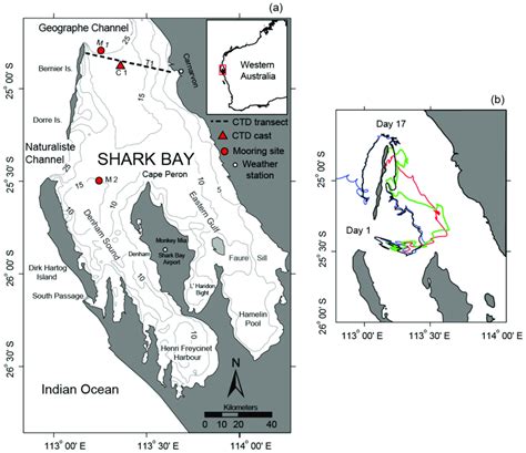 Map of Shark Bay, Western Australia. (a) Map of the study site showing... | Download Scientific ...