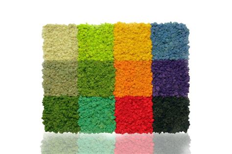 Scandia Moss Color Chart | Moss wall art, Moss art, Vertical garden plants