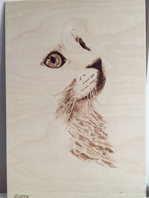 Pyrography An innocent Cat | Pyrography art, Wood burning stencils, Pyrography patterns