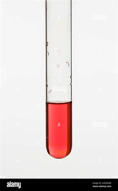 Cobalt (II) chloride ( CoCl2 ) solution. When sodium hydroxide is added ...