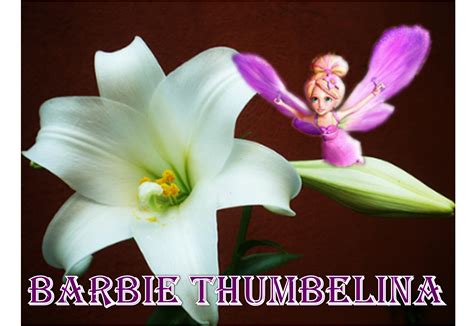 barbie thumbelina - barbie thumbelina Photo (26739448) - Fanpop