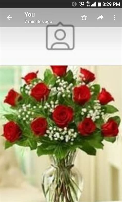 El Paso Floral Distributors - Home