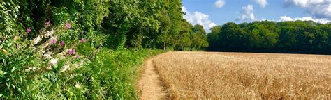 Banstead Countryside Walk, Surrey, England - 478 Reviews, Map | AllTrails