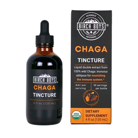 Chaga Tincture: Potent Immunity in Drops – Birch Boys, Inc.