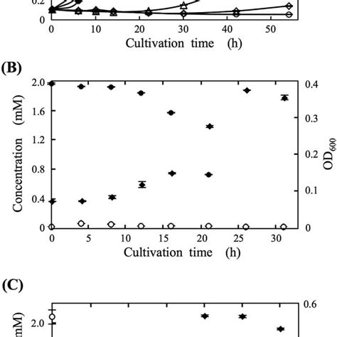 Purification of the piperonal-converting enzyme. (A) Molecular mass ...