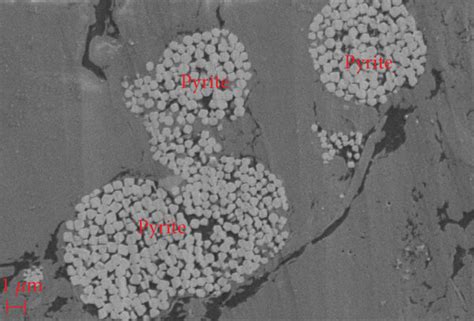 Mineralogical characteristics of black shale in Wufeng-Longmaxi ...