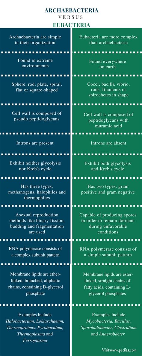 Difference Between Archaebacteria and Eubacteria | Characteristics ...