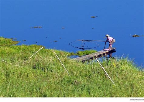 Floating Phumdis of Loktak Lake, India | Amusing Planet