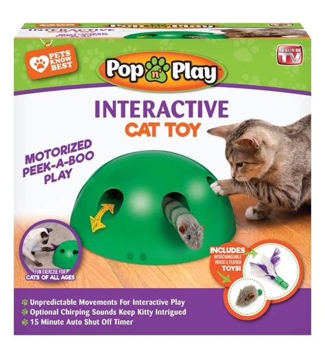 Big Cat Enrichment Toys | Wow Blog