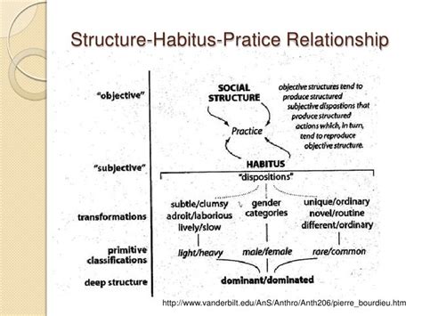 STRUCTURES AND THE HABITUS- Pierre Bourdieu