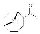 Molecule of the Month: ANATOXIN